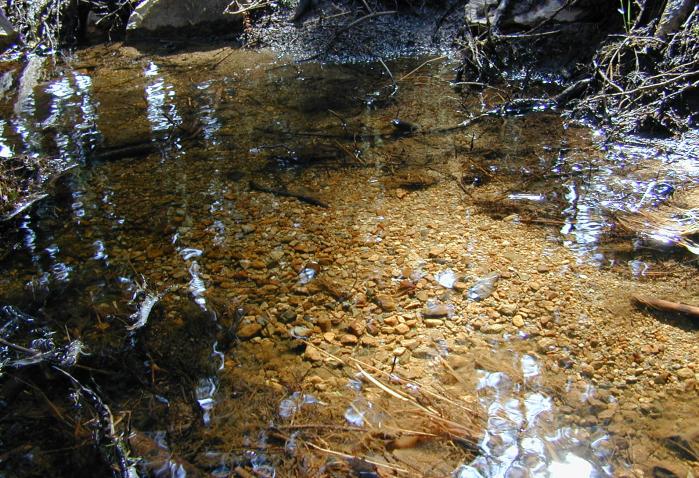 Potůček